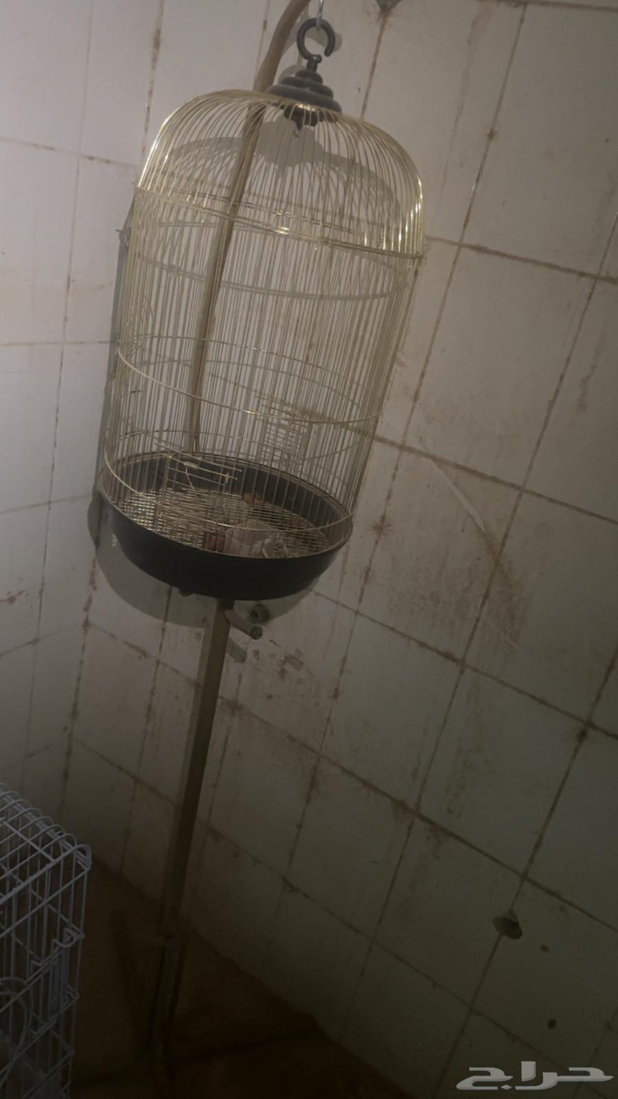 اقفاص للبيع63158998878082111