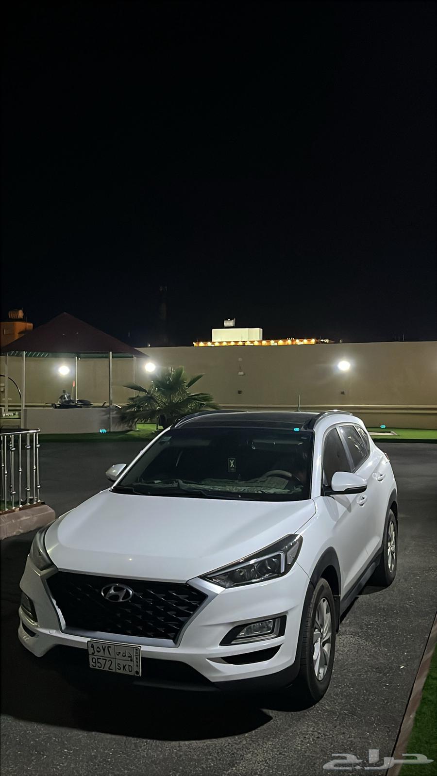Tousan 2020 Full Fill (Sold)63234153925633113