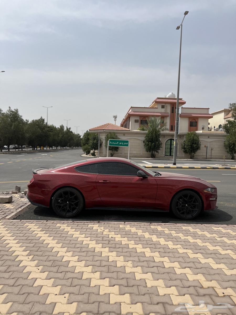 فورد موستنج63234642824962113