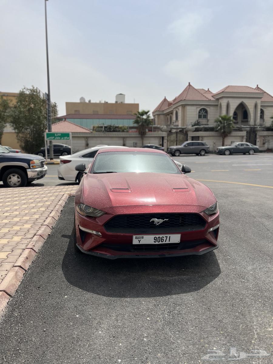 فورد موستنج63234642824962111