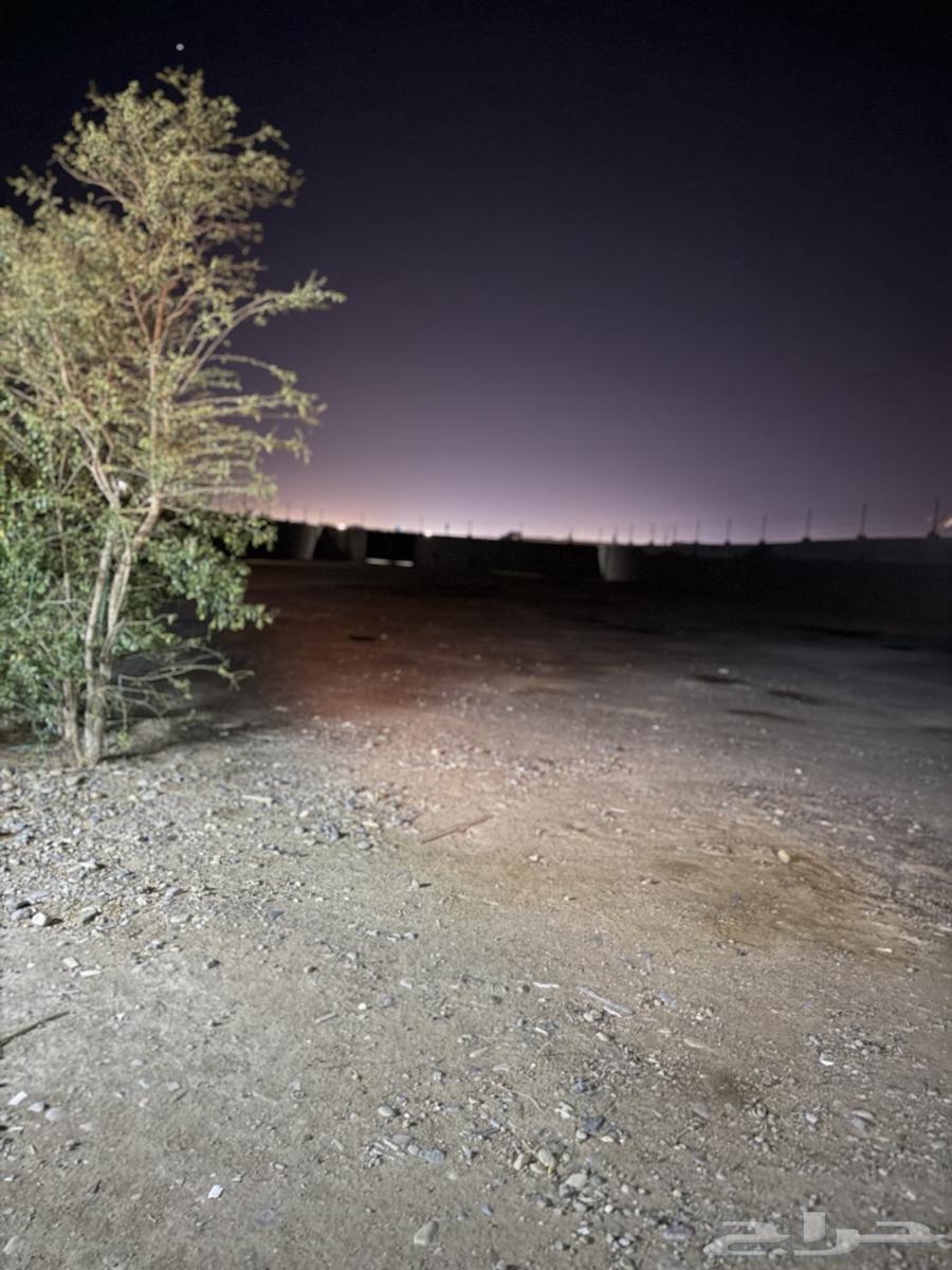 For rent, a residential yard with an area of 2000 m²63016085585153114