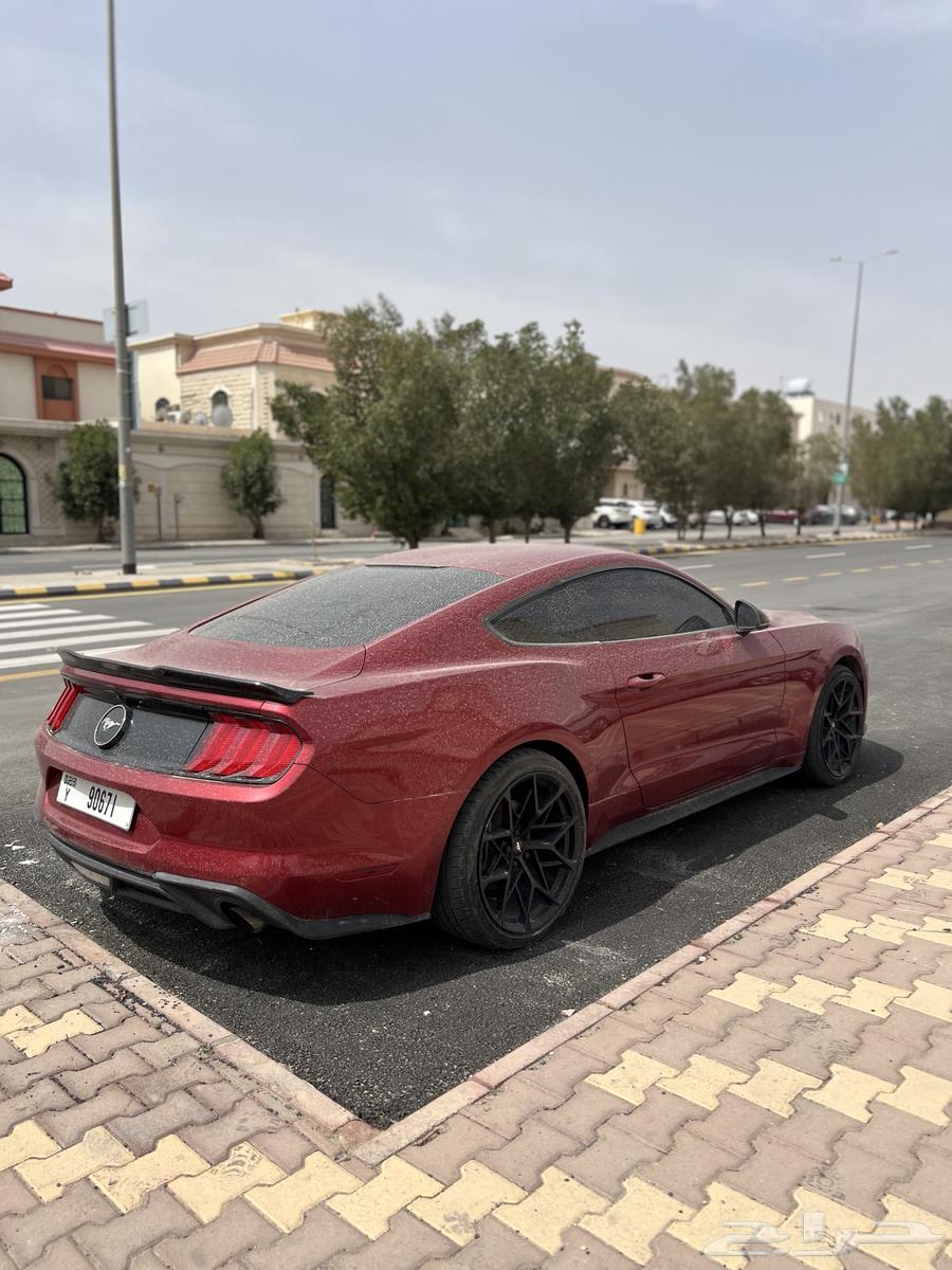 فورد موستنج63234642824962114