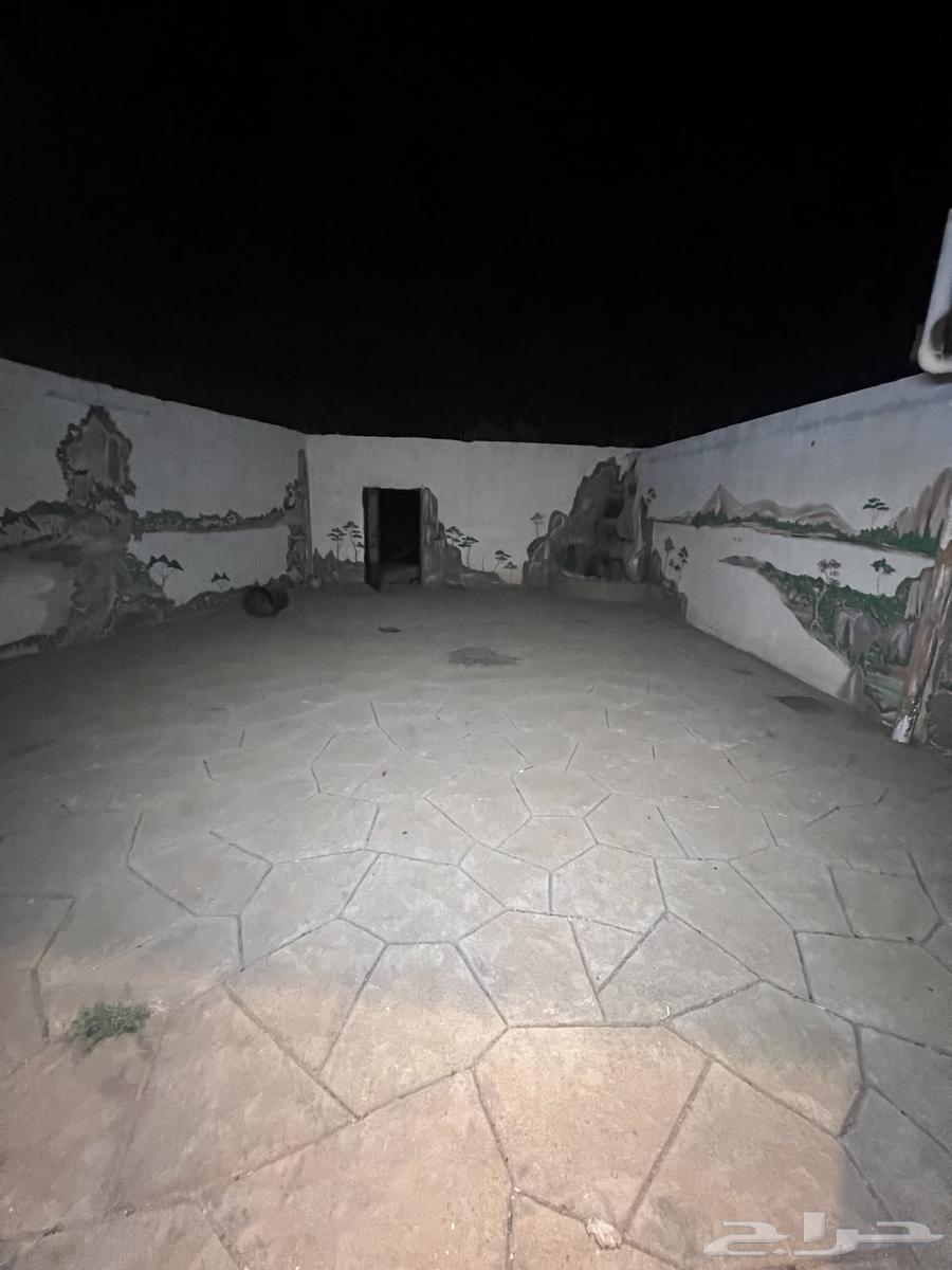 Youth rest area for rent in Al-Sir62884407309313112