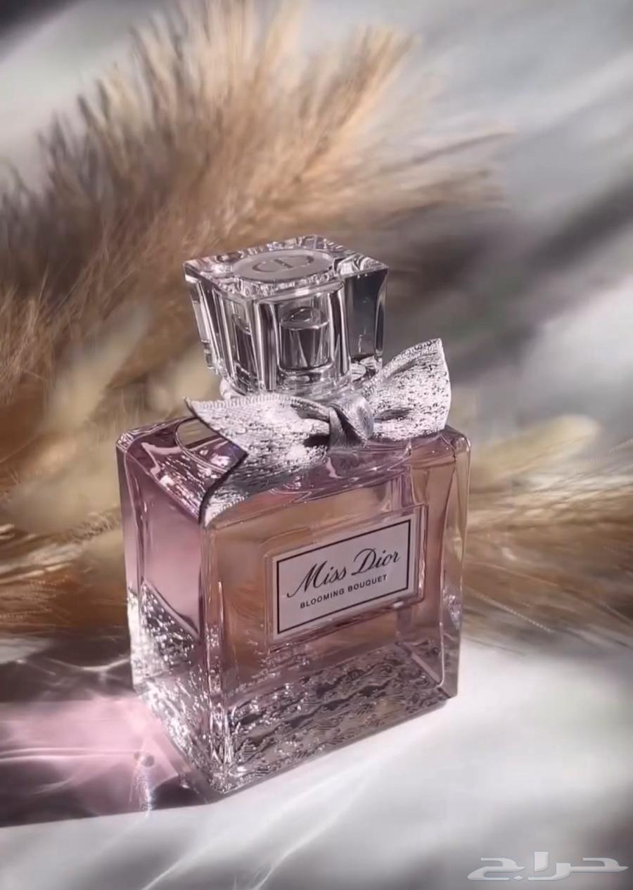 3 perfumes for 21063157200333827113