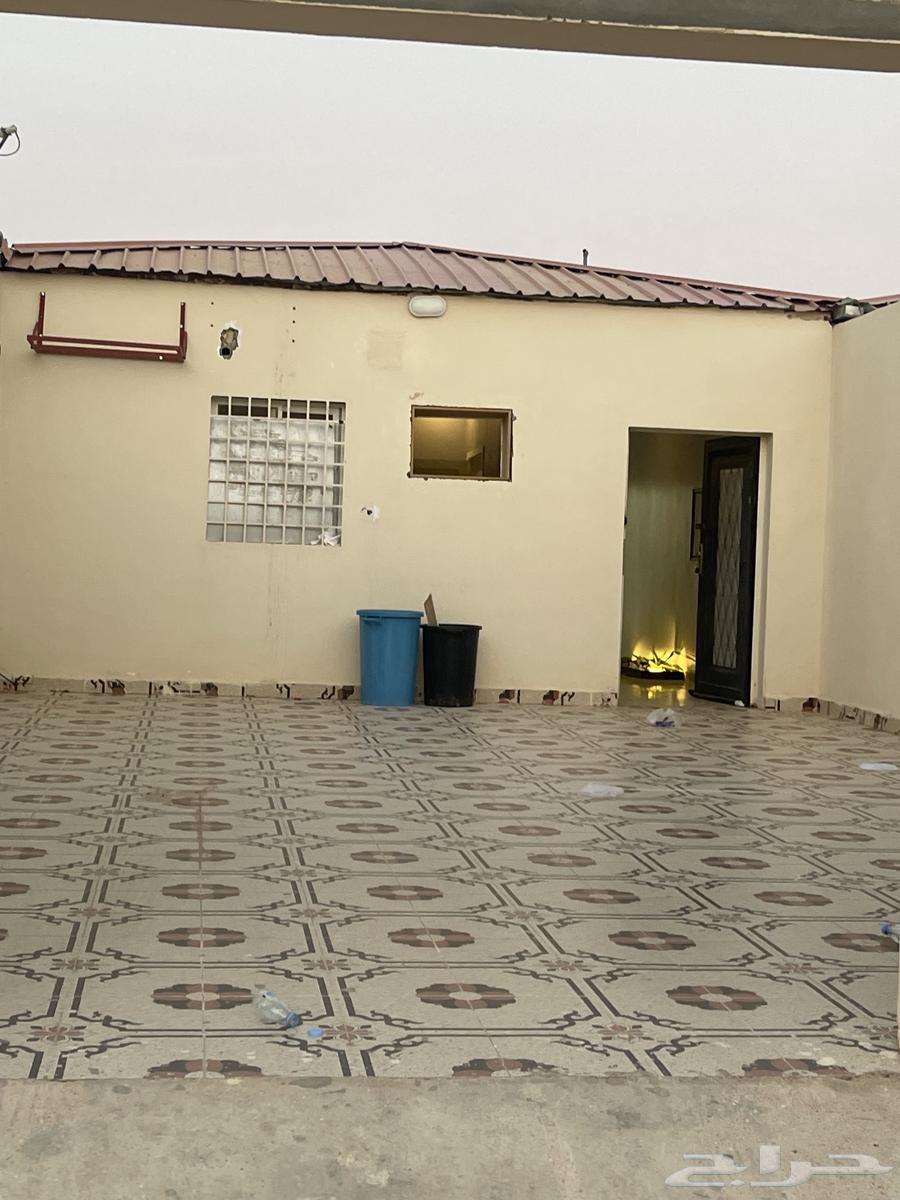 استراحات للإجار القايط62884408173187113