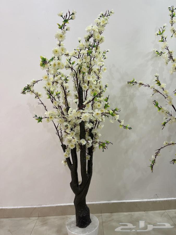 An artificial plant view63157634525058111
