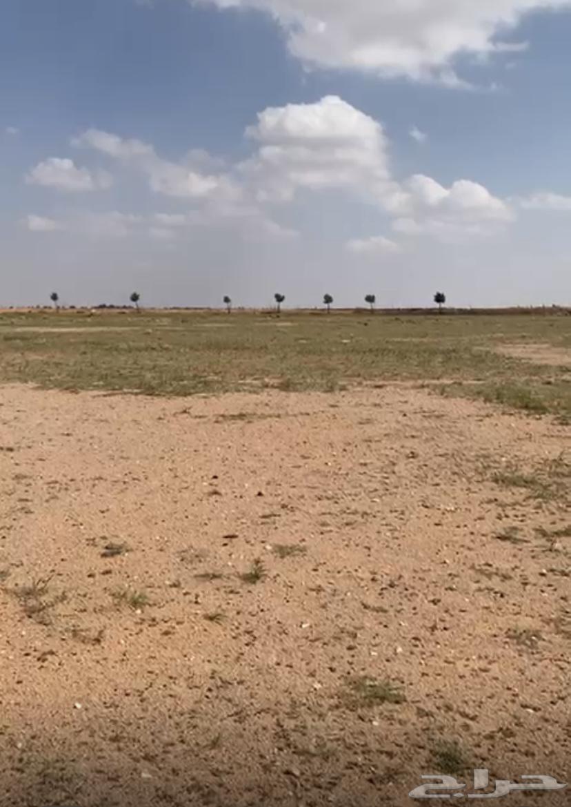 For sale, an empty corner plot in Al-Ha'il, near Al-Qurayyat.63005991092354111