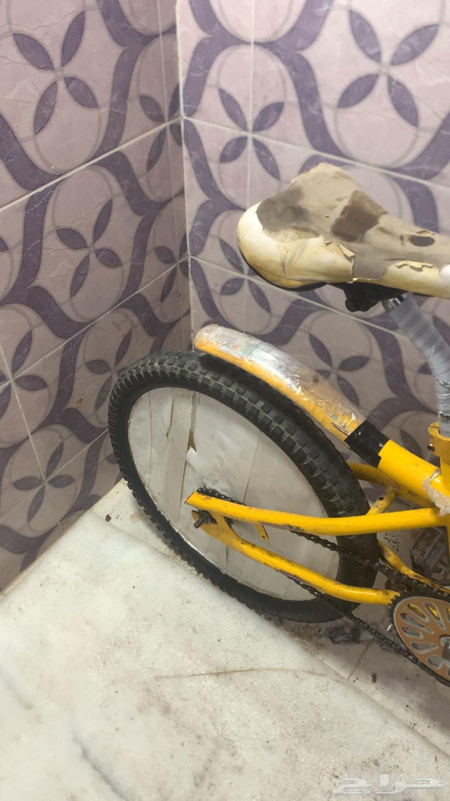 A clean bike condition 20, type Cobra, only the original is acceptable.63154362296961113