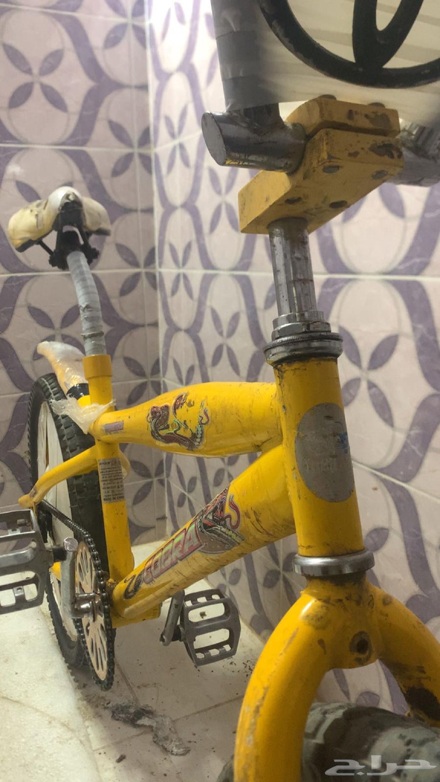 A clean bike condition 20, type Cobra, only the original is acceptable.63154362296961111