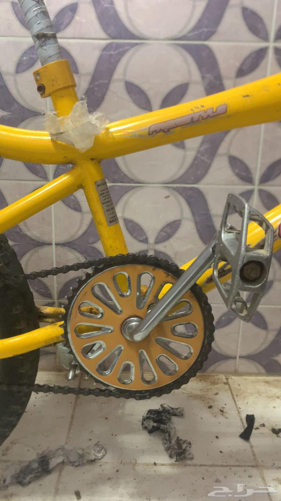 A clean bike condition 20, type Cobra, only the original is acceptable.63154362296961112