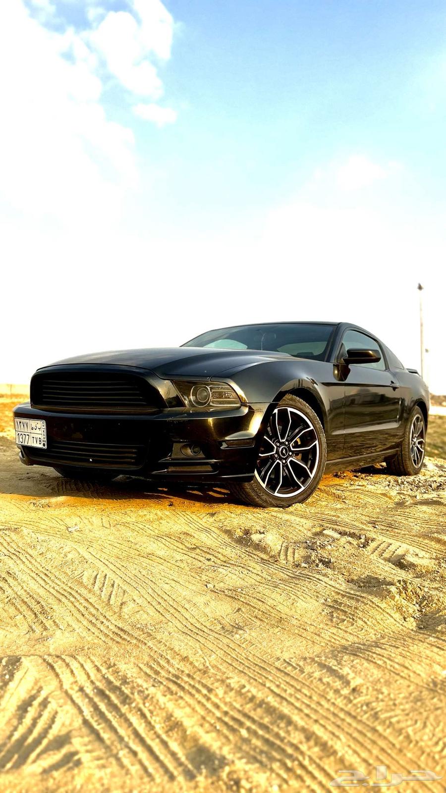 موستنج 2013 v6 اسود63230227532419112
