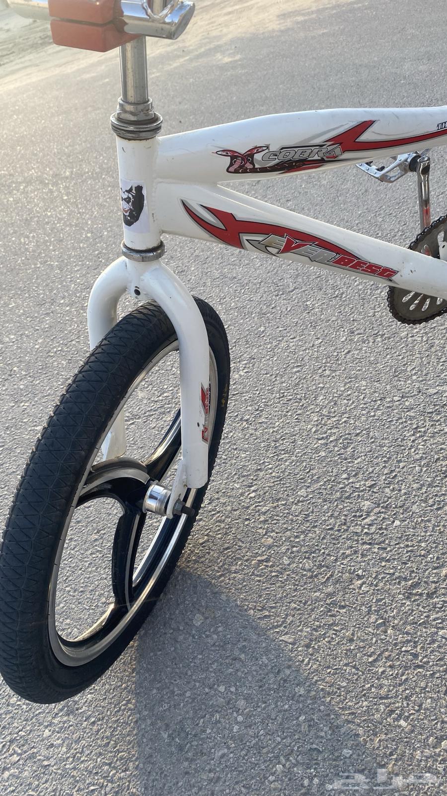 Cobra bicycle 20 inch63153444952066114