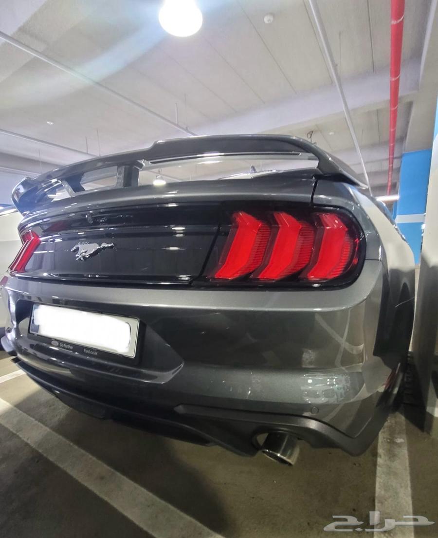 Mustang coupe 202363357737507203113