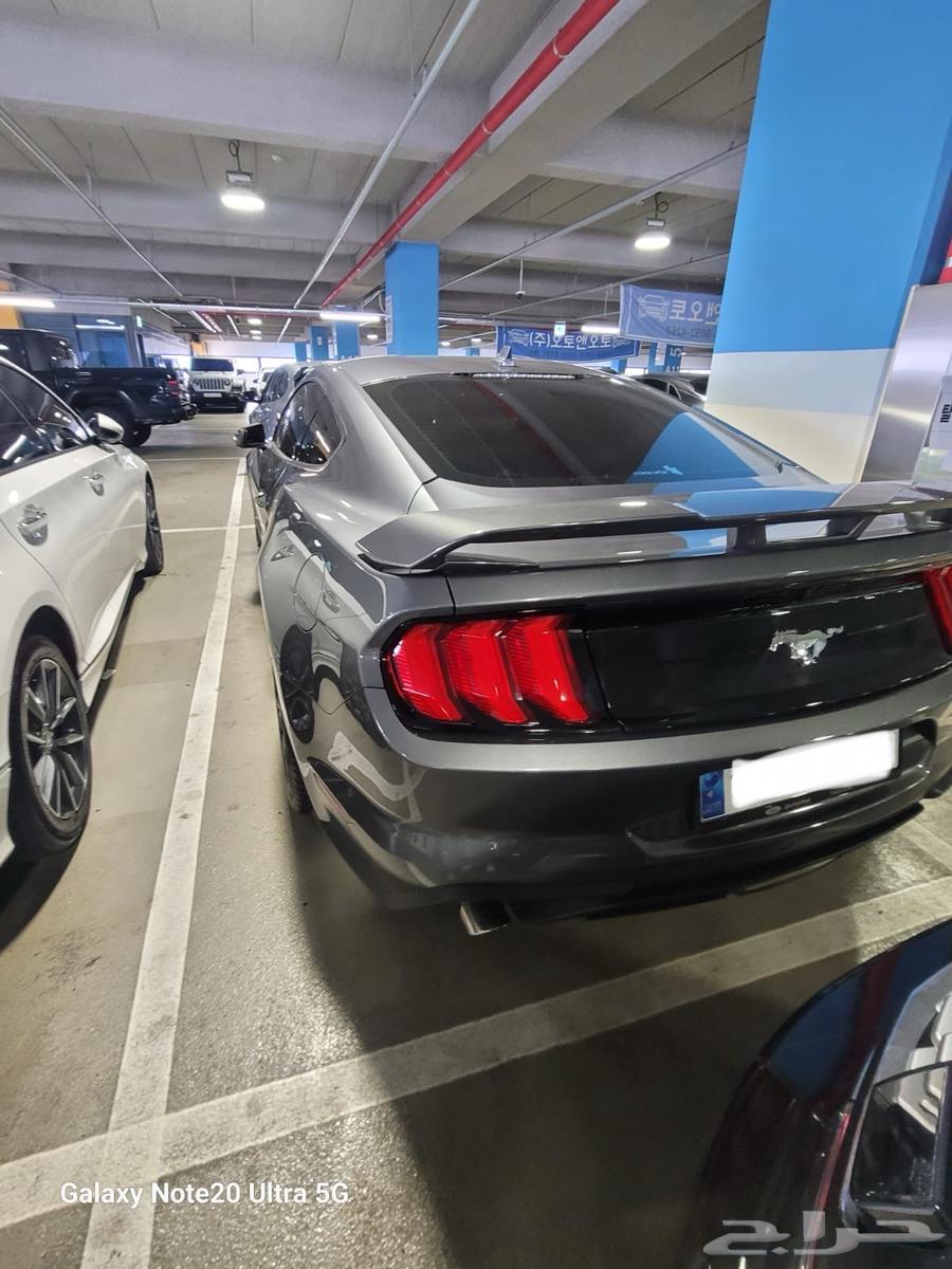 Mustang coupe 202363357737507203112