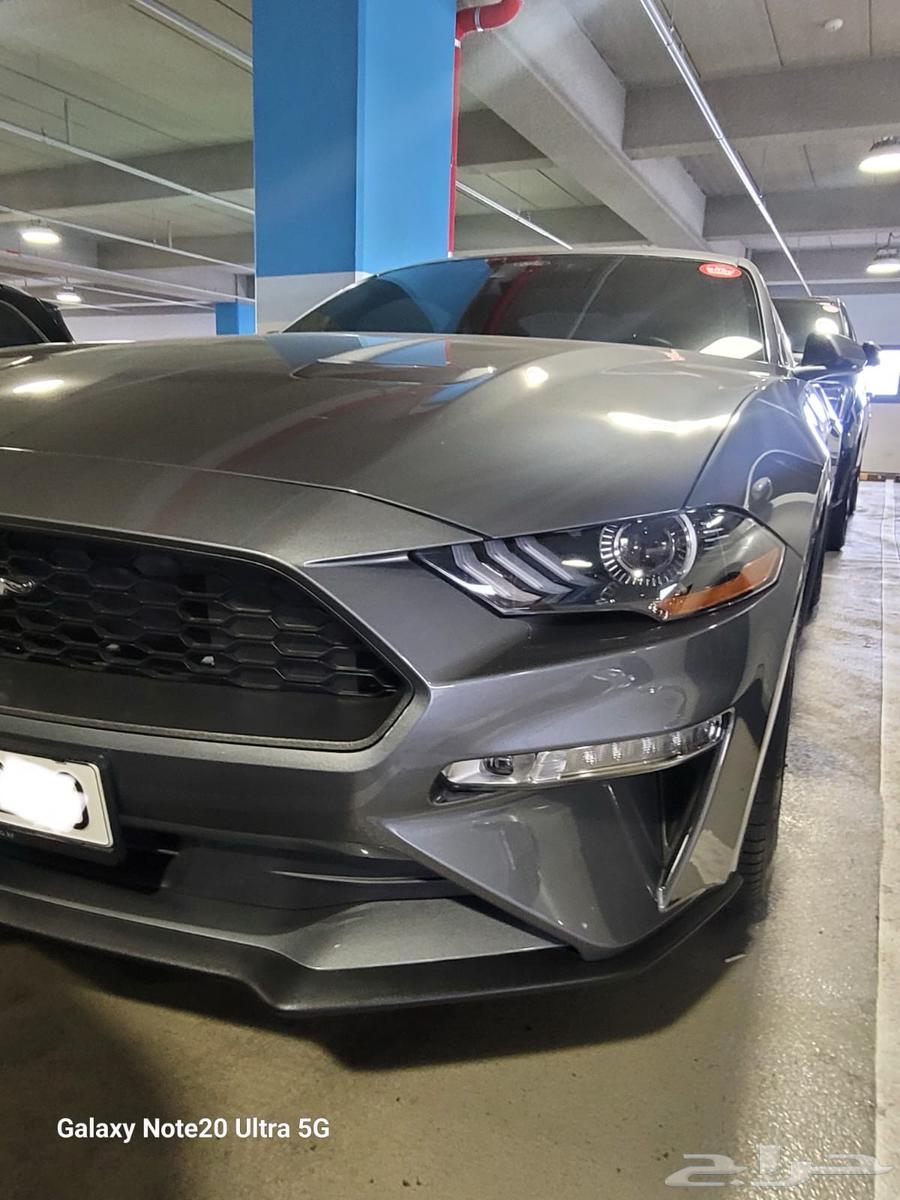 Mustang coupe 202363357737507203111