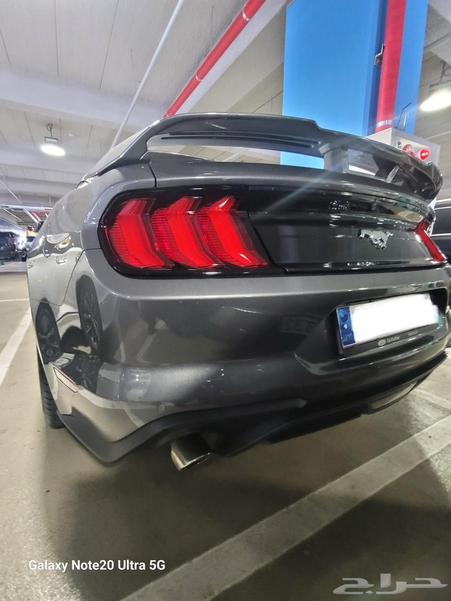 Mustang coupe 202363357737507203114