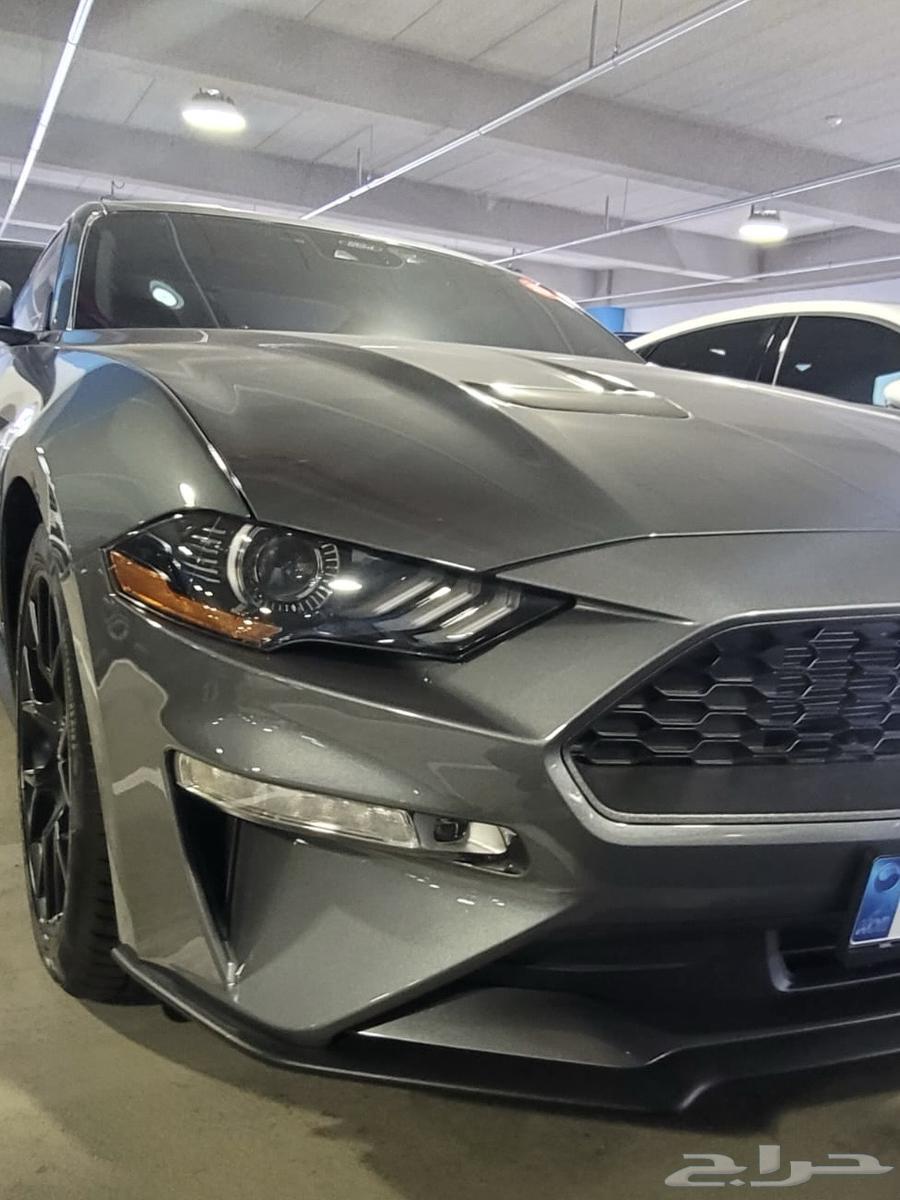 Mustang coupe 202363357737507203117
