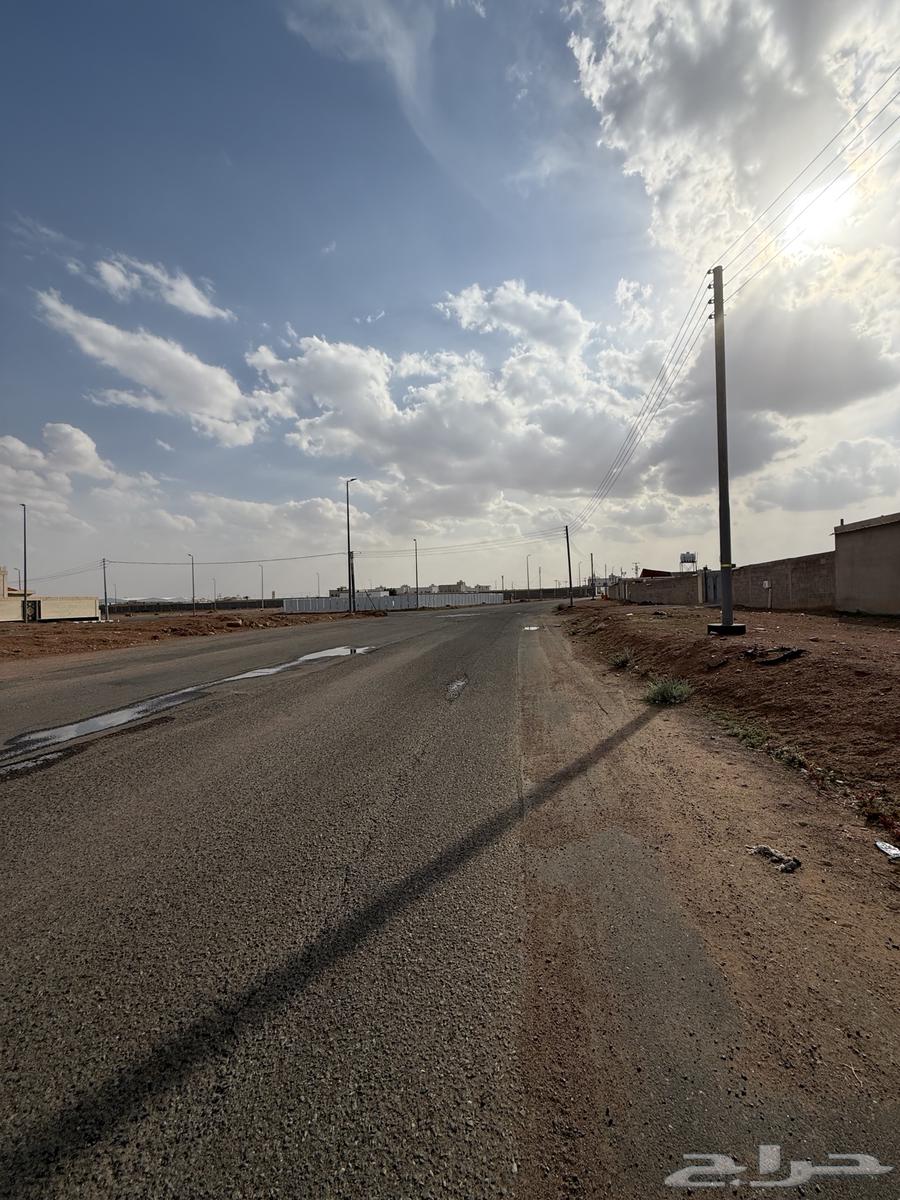 For sale: commercial land in the city plan Al-Wadi, west of the city road62885333611265112