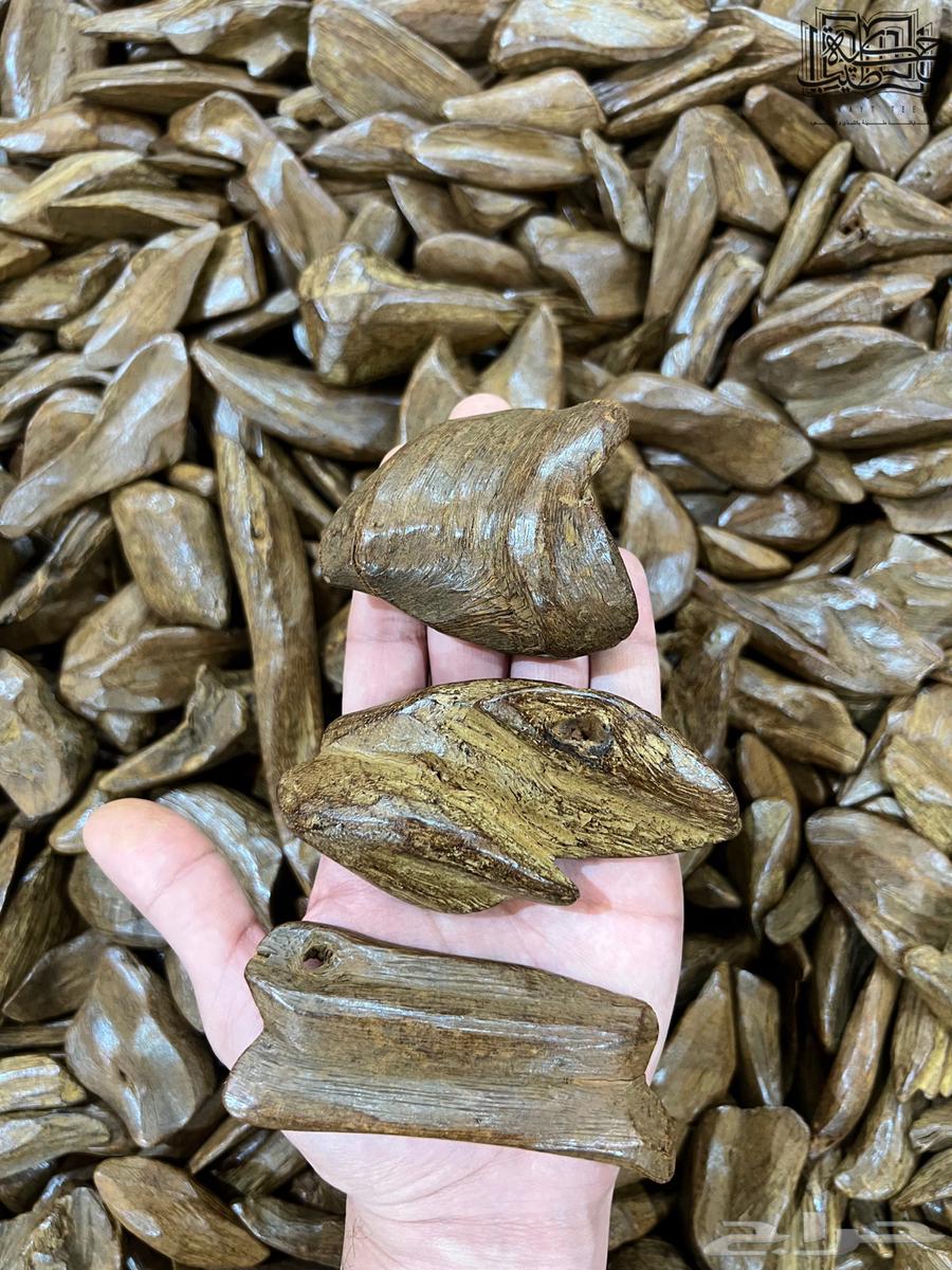 Return Moroccan camel natural improved superior (sentence)63150236425601113