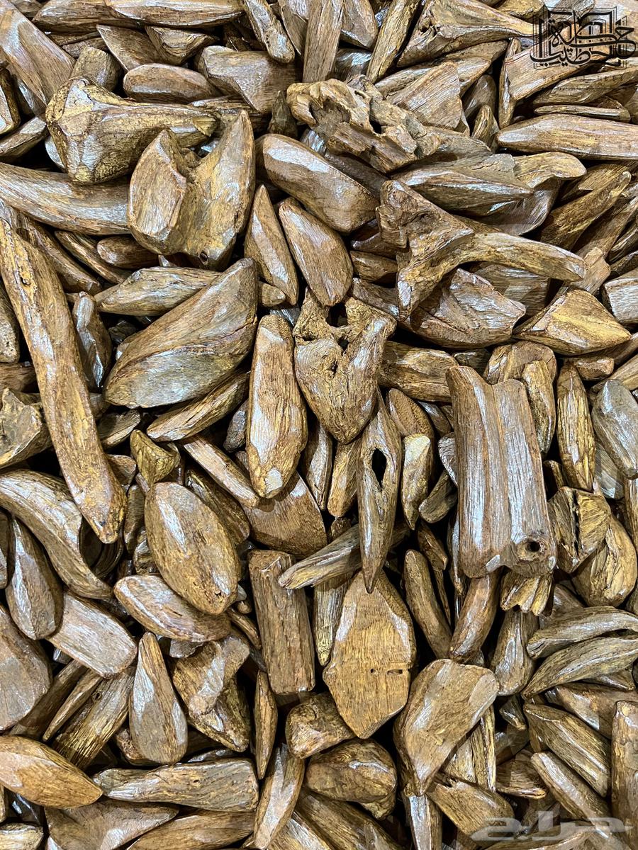 Return Moroccan camel natural improved superior (sentence)63150236425601112