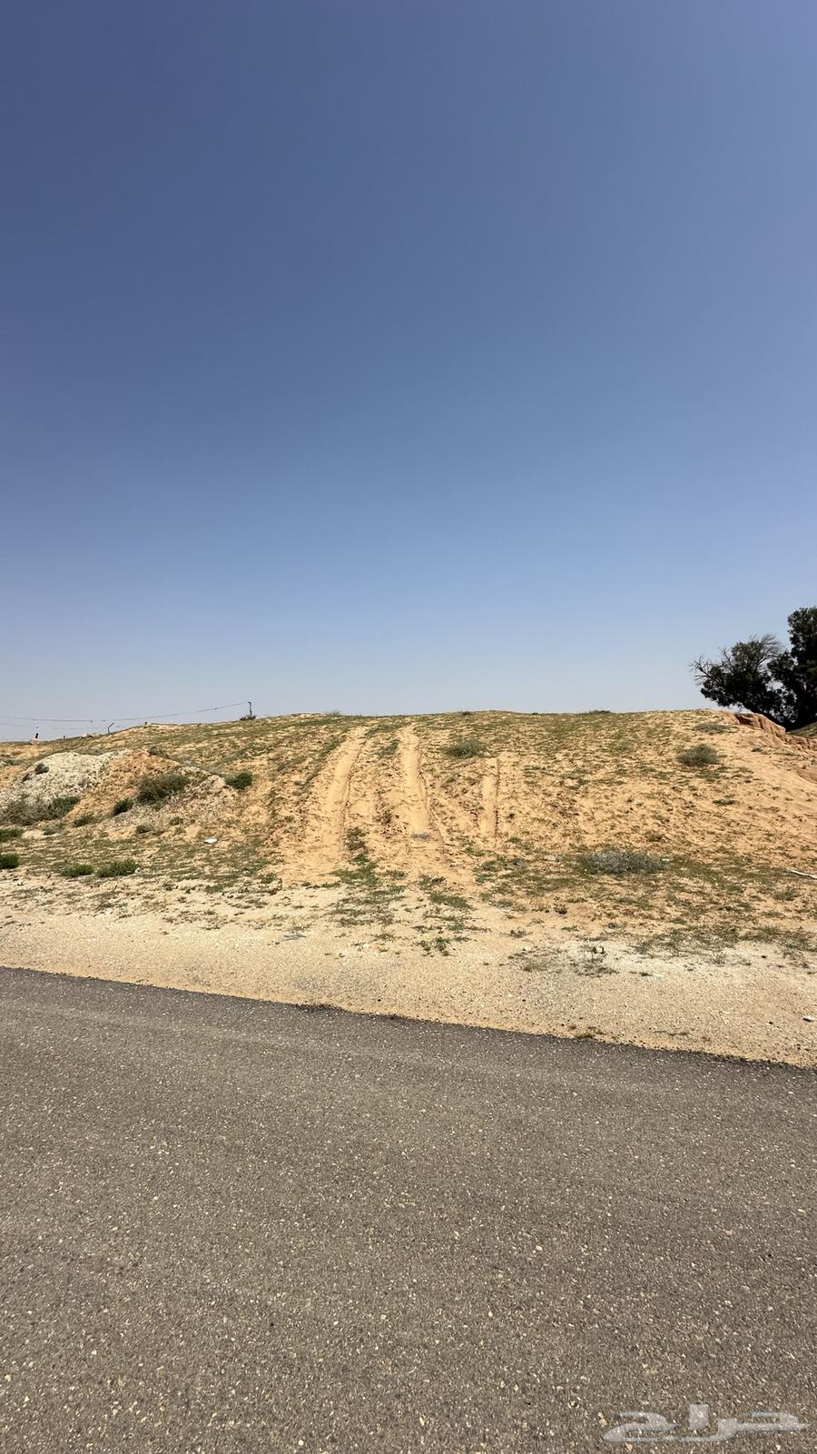 ارض للبيع بمخطط الملقاء بريدة63015213024513113