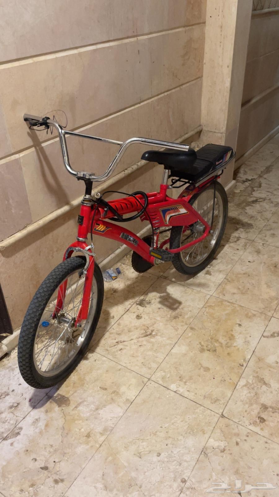 رامبو اندنوسي كتشبي حدي فيه 350634991639127071125