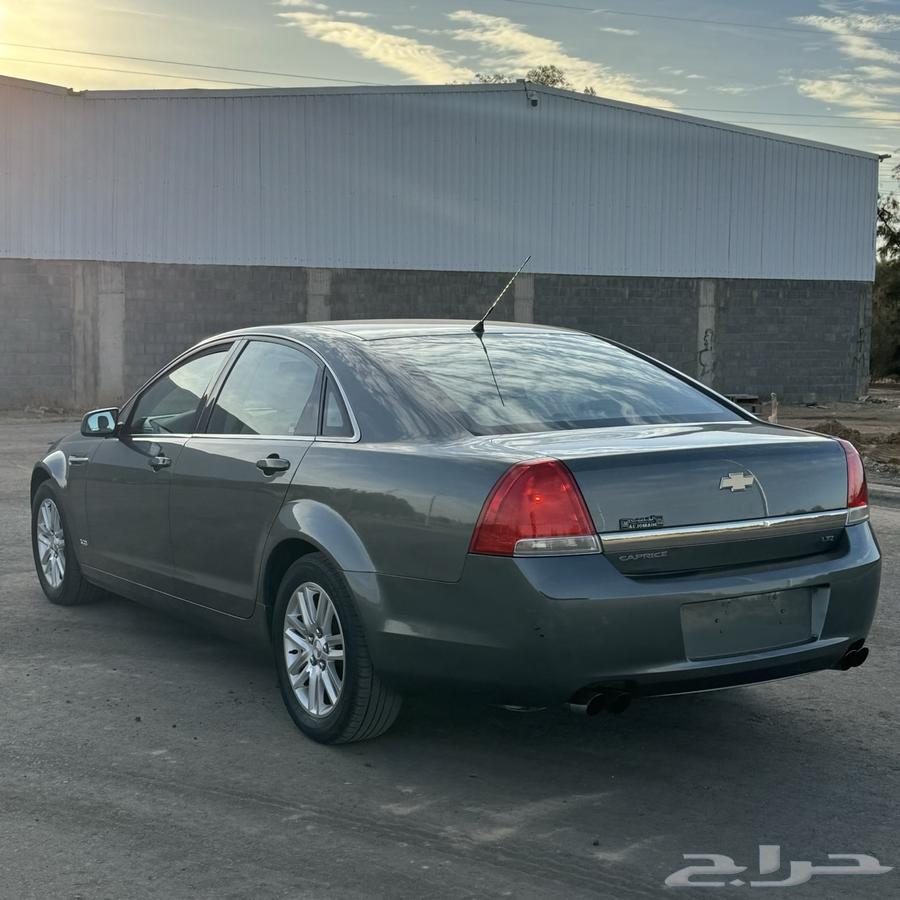 كابرس 2012 ( LTZ - مخمل )63219368006529111