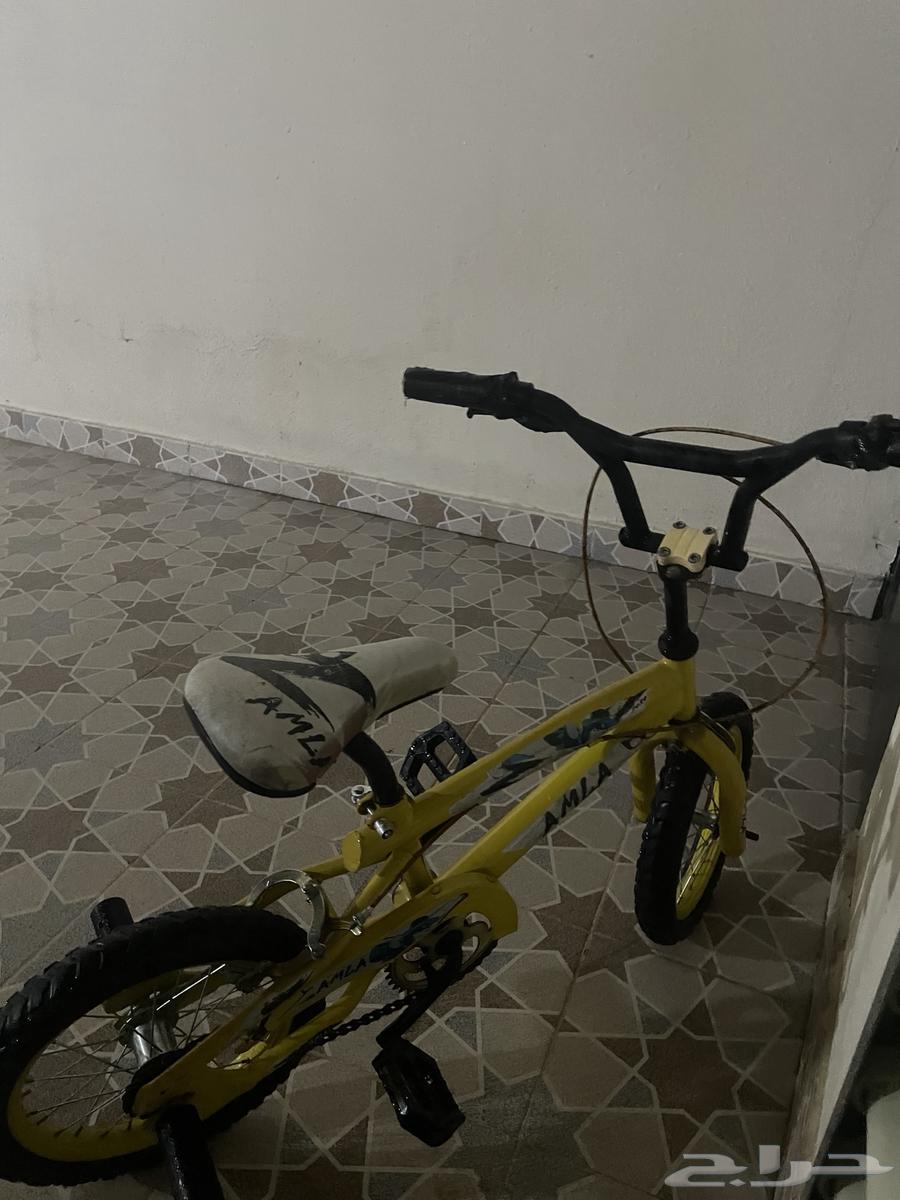Cobra cycle63147919600899113