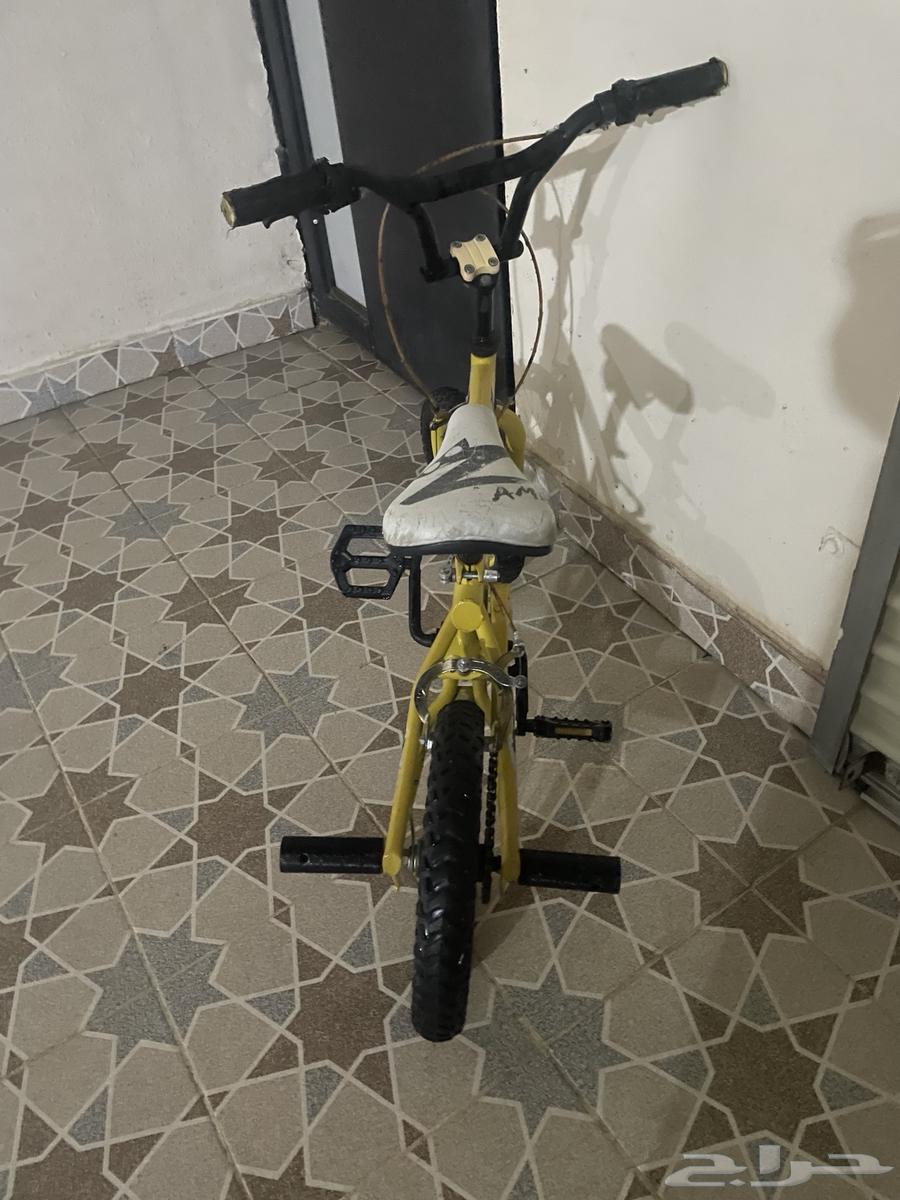 Cobra cycle63147919600899111