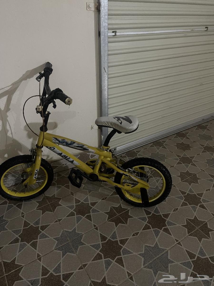 Cobra cycle63147919600899112