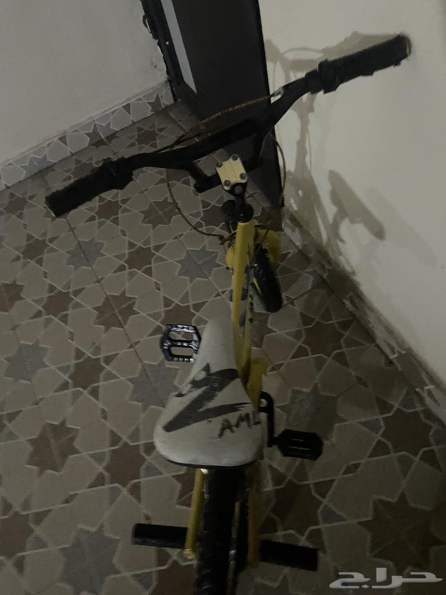 Cobra cycle63147919600899114