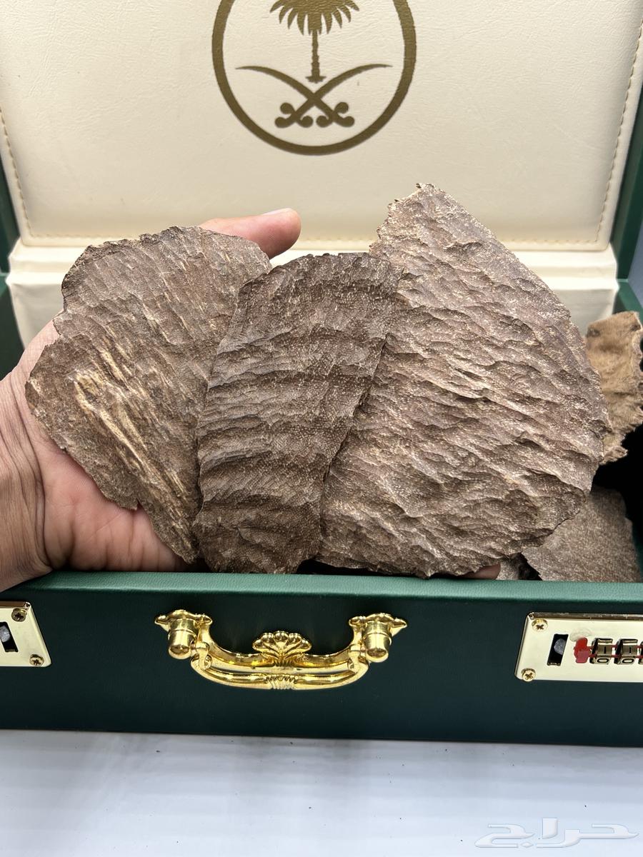High char Indian oud and double super63149310856066111