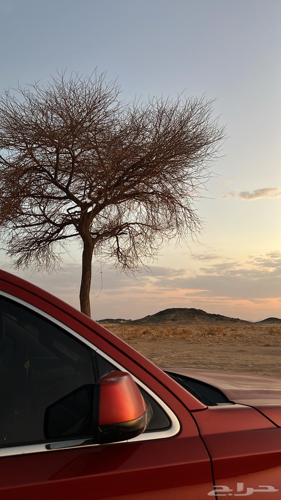 جمس يوكن قصير دبل63218356577795113