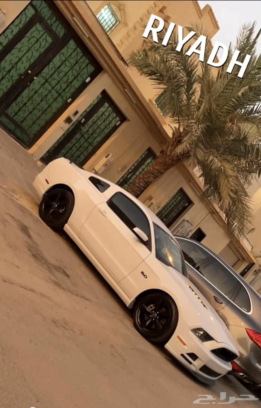 جنوط موستنق63218336543874111