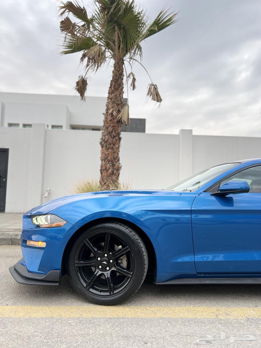 Ford Mustang 2020, top cleanliness with agency condition63218359574145113