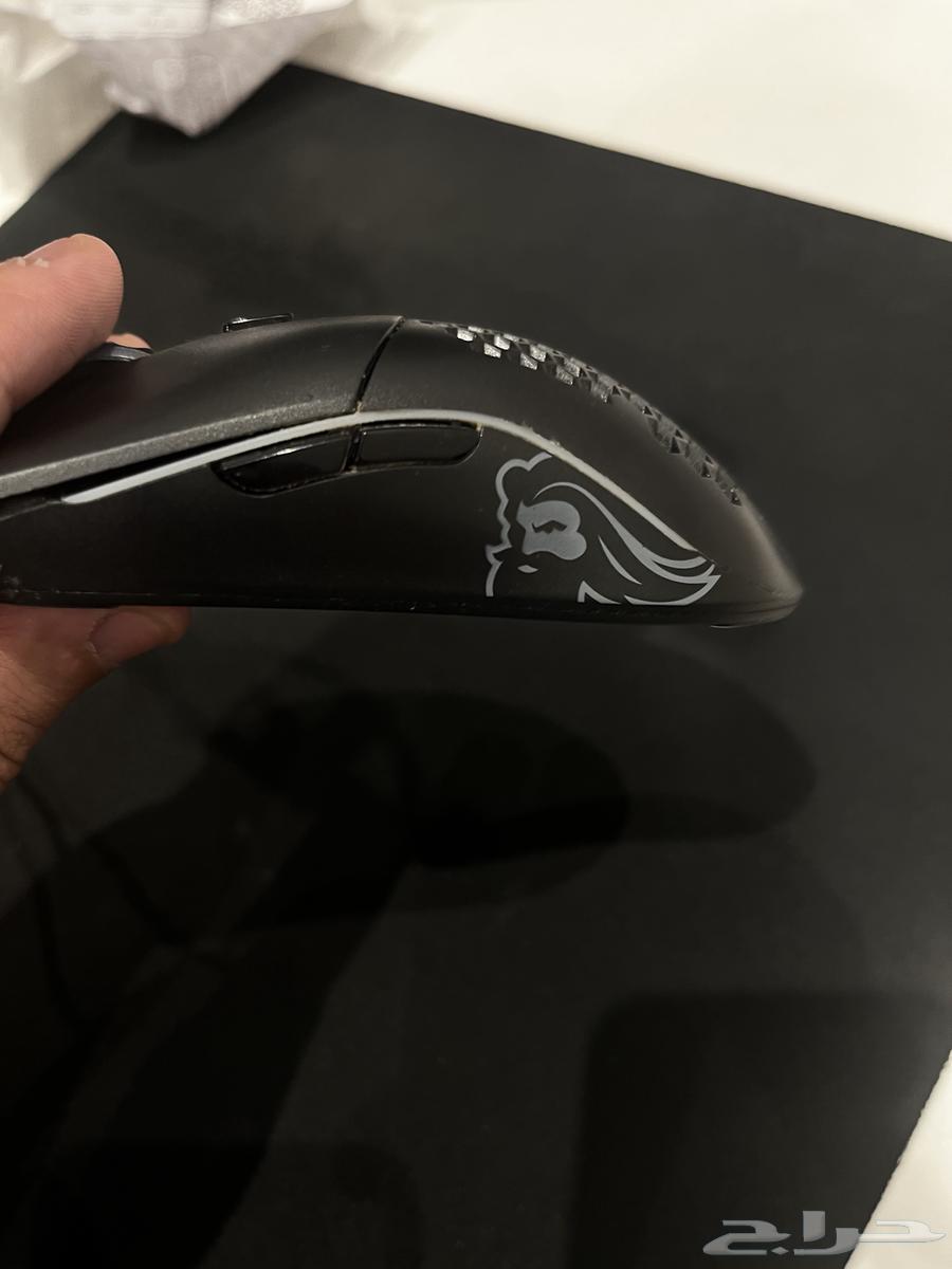 Gloris mouse63145556507395112
