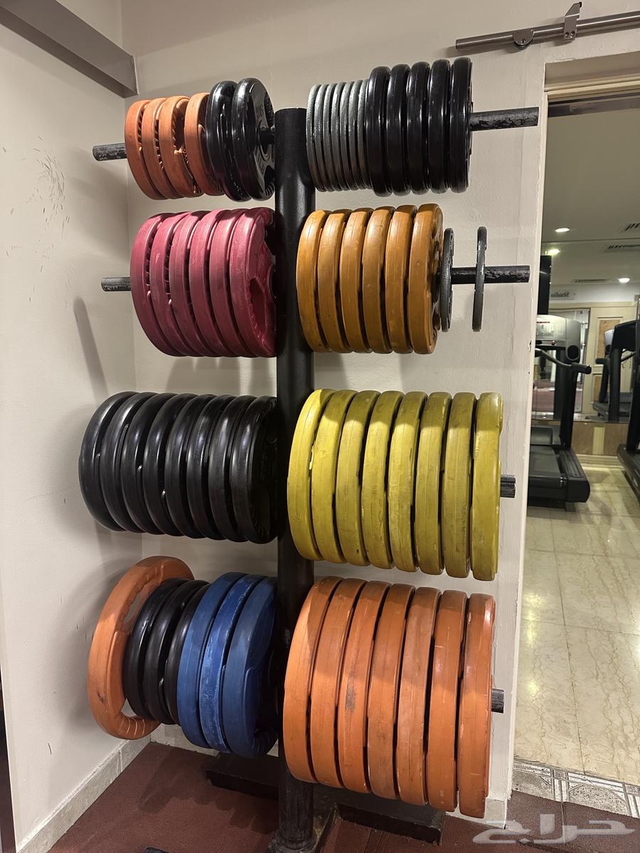 Sports equipment and gym machines for sale (gym equipment)63146515399683113