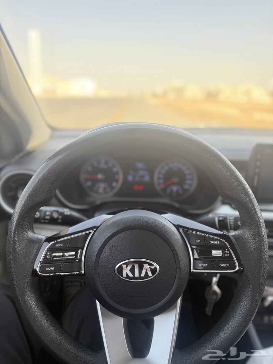 Cerato 202163216864522755114