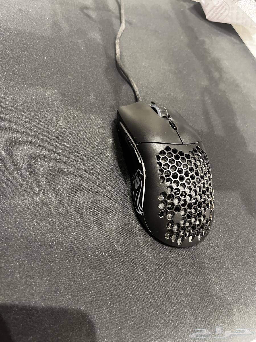 Gloris mouse63145556507395111
