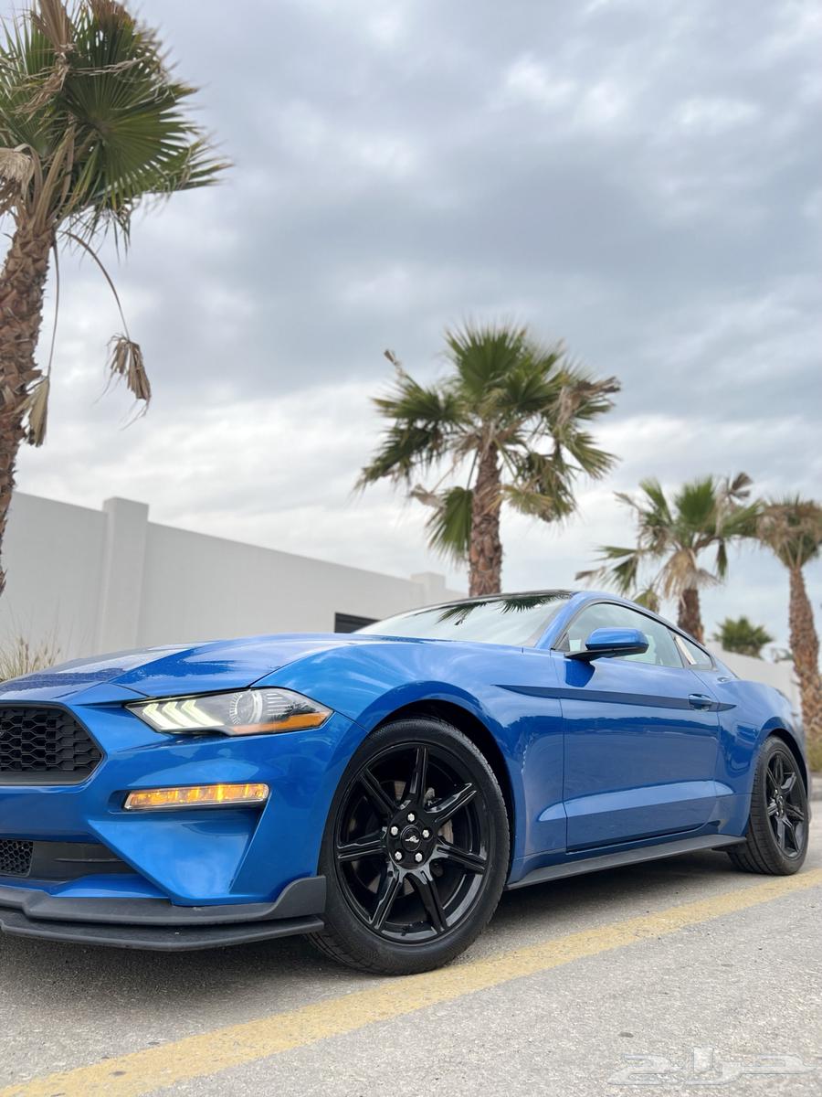 Ford Mustang 2020, top cleanliness with agency condition63218359574145111