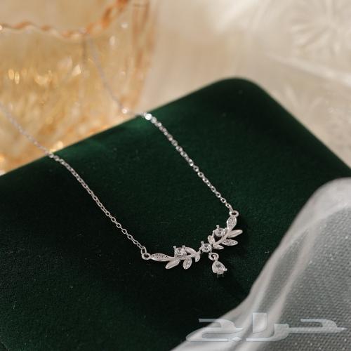 Silver Eid distributions63498369597187114