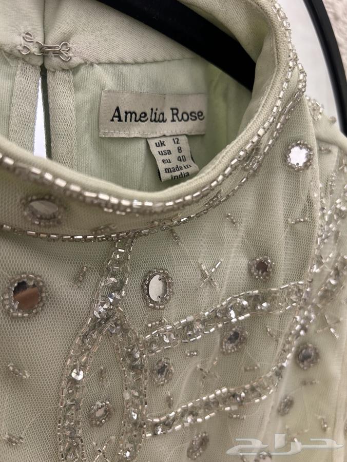 Amelia Rose brand dress63145073211394112
