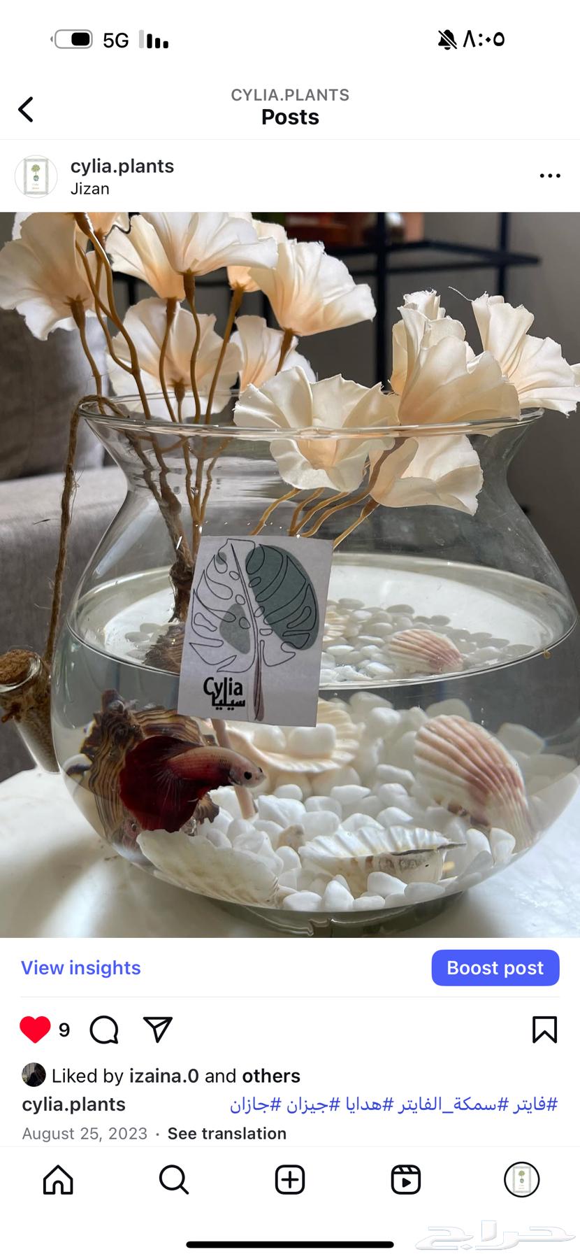 Fish and plant vases for gifting and home decoration63147449016579111