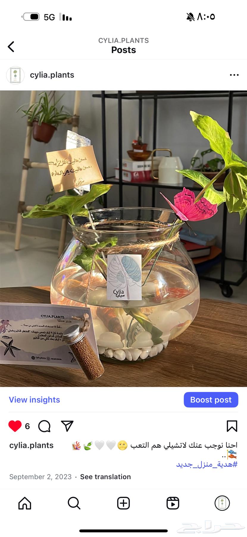 Fish and plant vases for gifting and home decoration63147449016579113