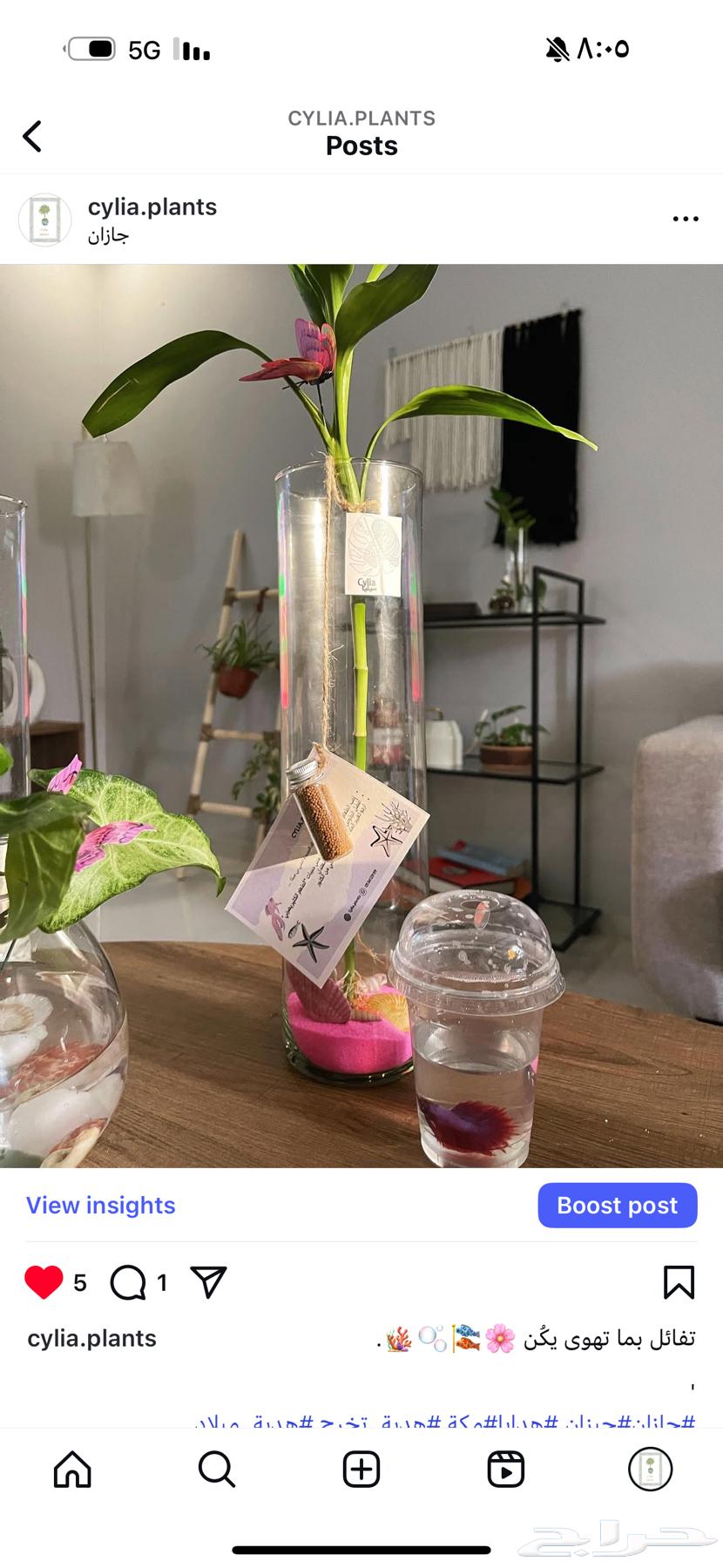 Fish and plant vases for gifting and home decoration63147449016579112