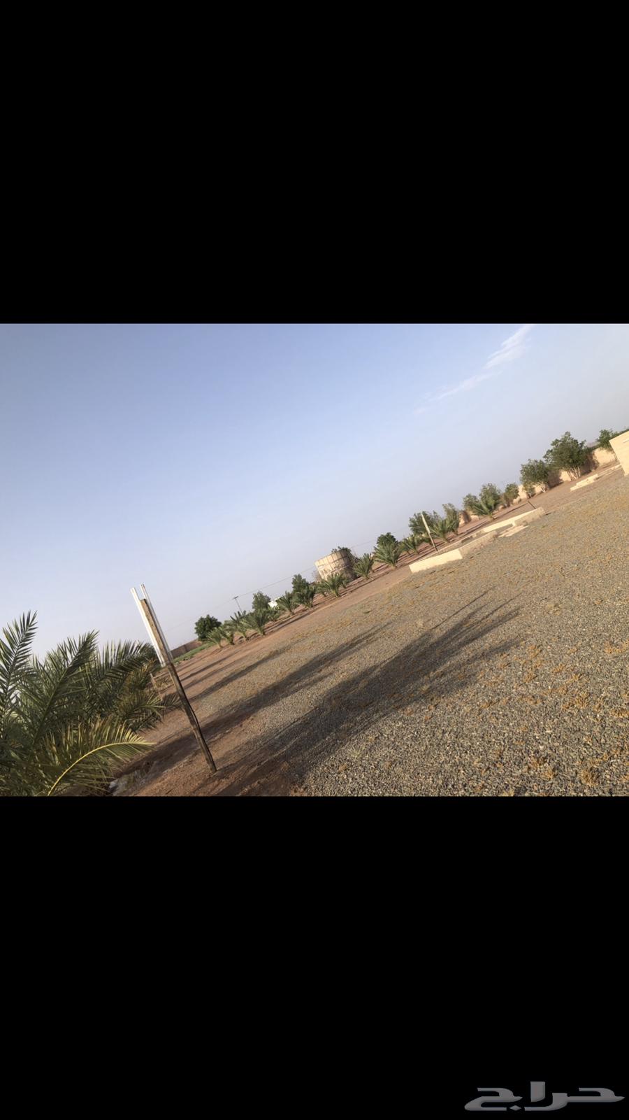 مزرعة و استراحة63218842976513113