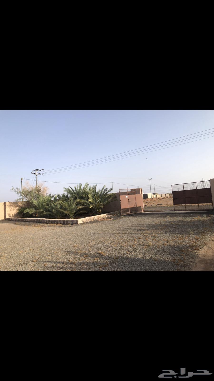 مزرعة و استراحة63218842976513111