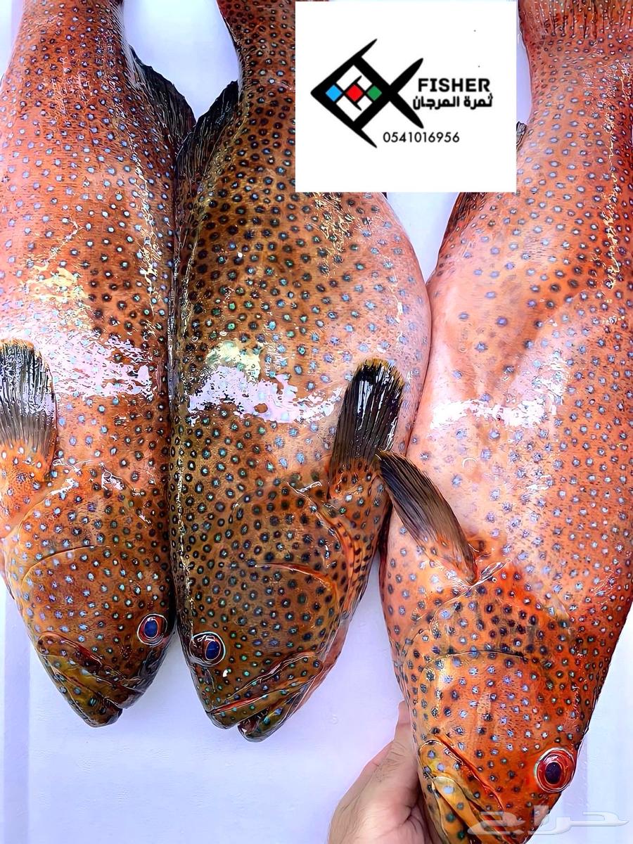 Fish and crustaceans at wholesale prices63143710774401112