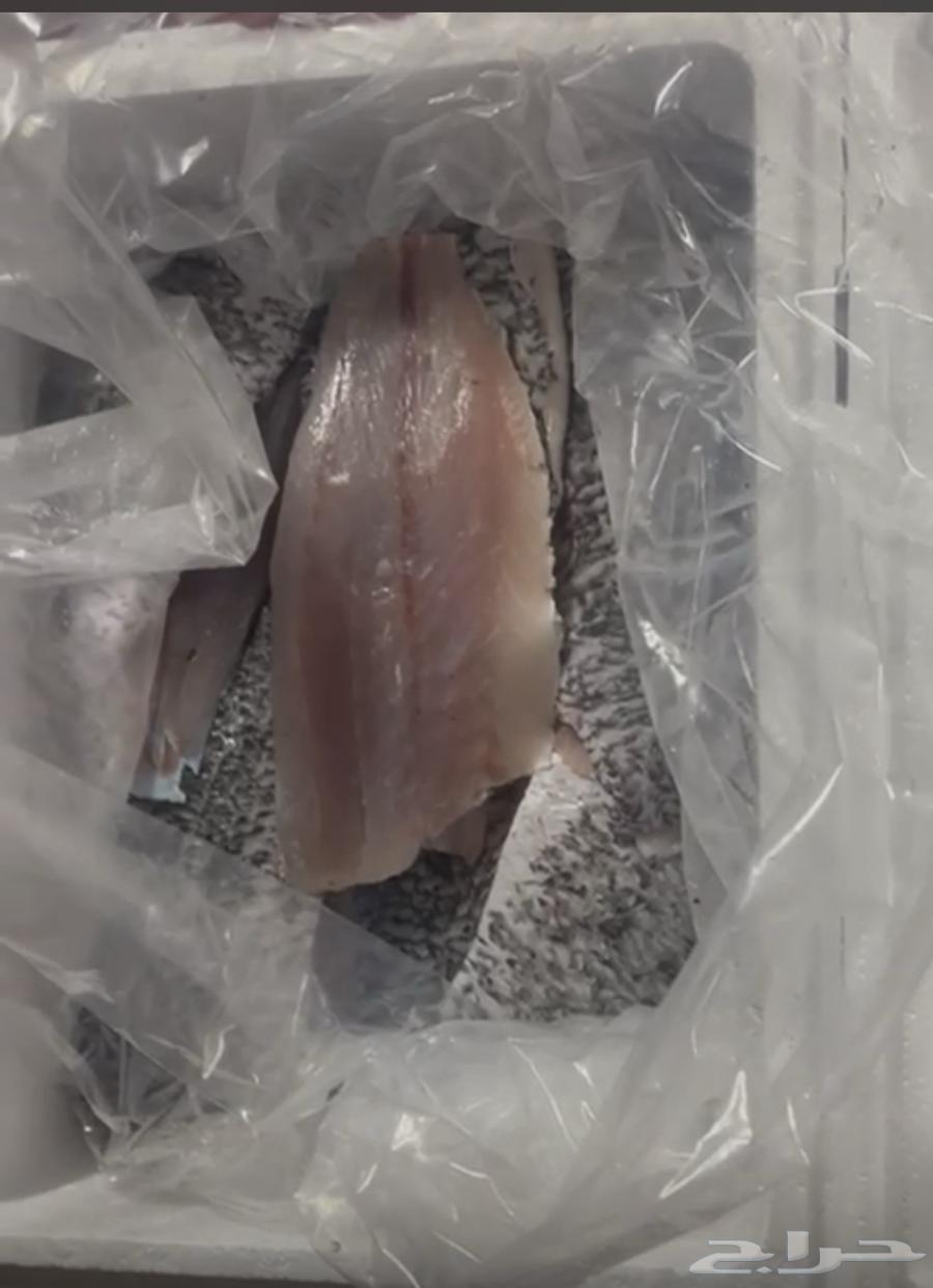 Rainbow trout, sea bass fillet, and local calamari on request63143737567618111