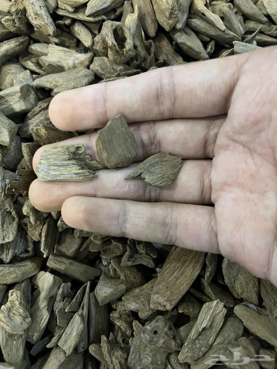 Return Moroccan natural high-quality accuracy63143242579713112
